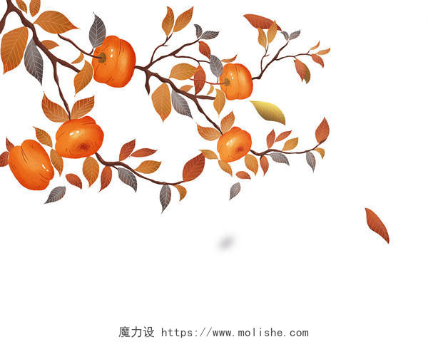九月你好橙色插画卡通秋天秋季成熟柿子果实树枝植物叶子png素材